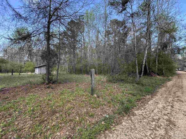 .83+/- ac Lett Rd, Frisco City, AL 36445