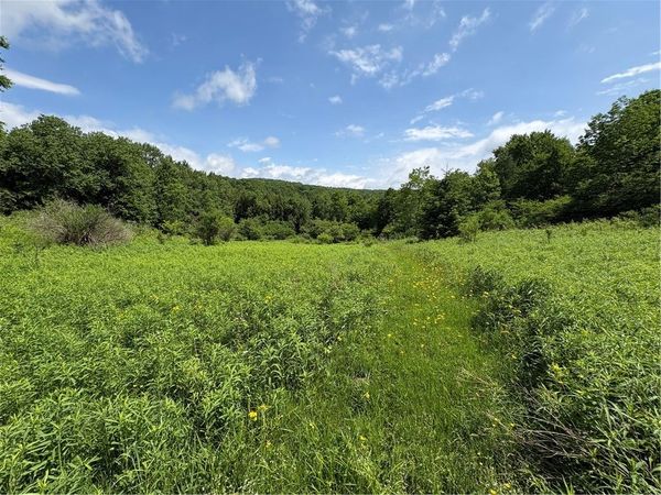 Stage Road, Otselic, NY 13155