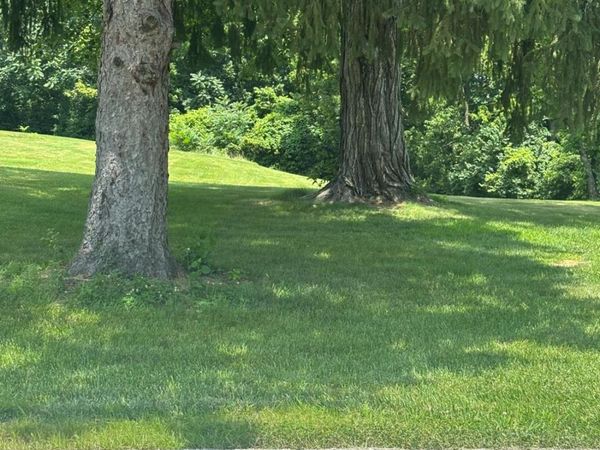 0 Cosmos Road, Deerfield Twp., OH 45140