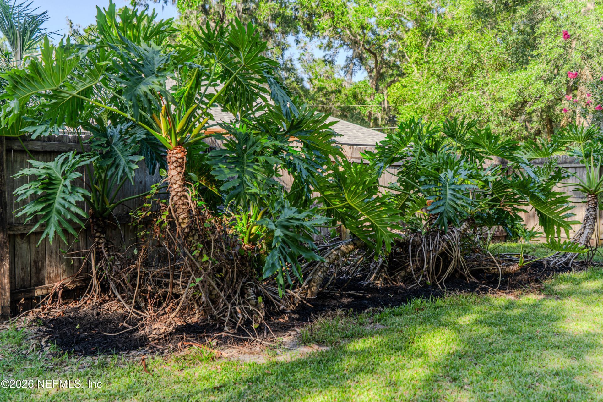 1252 Governors Creek Drive, Green Cove Springs, FL 32043 Photo