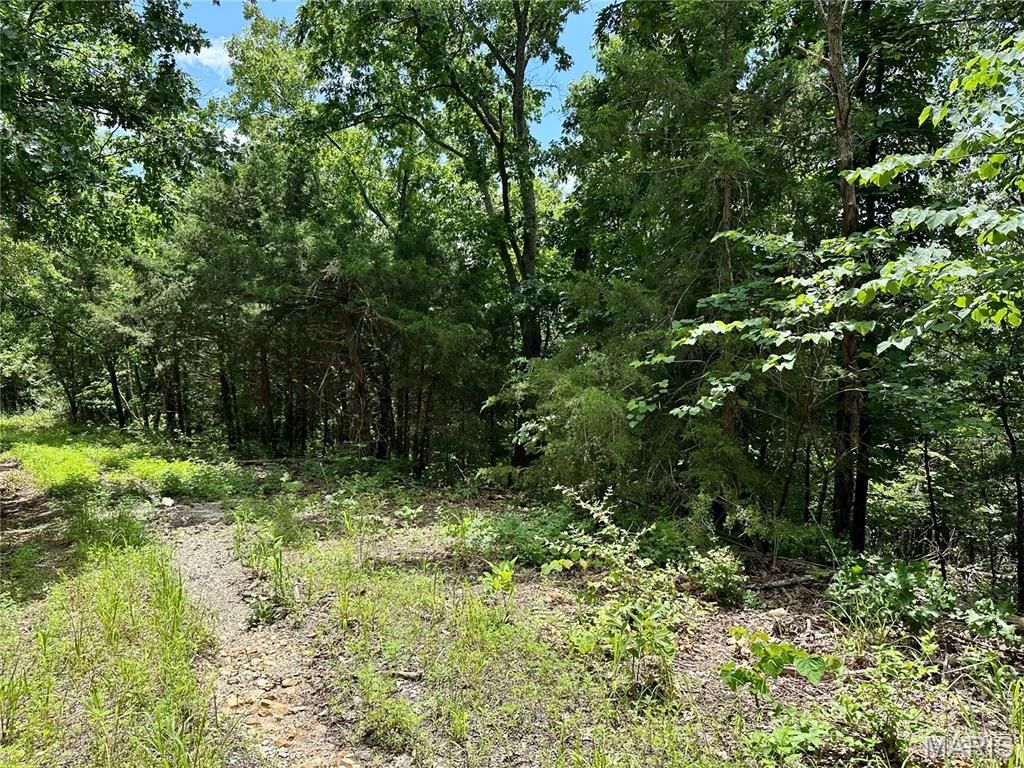 Tbd Bluebird Lane, Rolla, MO 65401 Main Photo