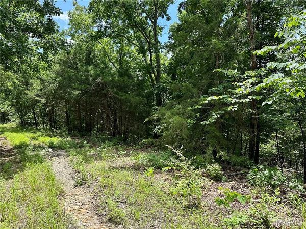 TBD Bluebird Lane, Rolla, MO 65401