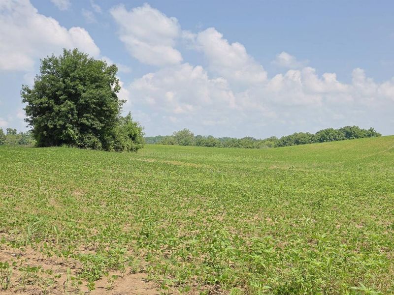 4248 Grasmere Run, Mason, OH 45040 Photo 28