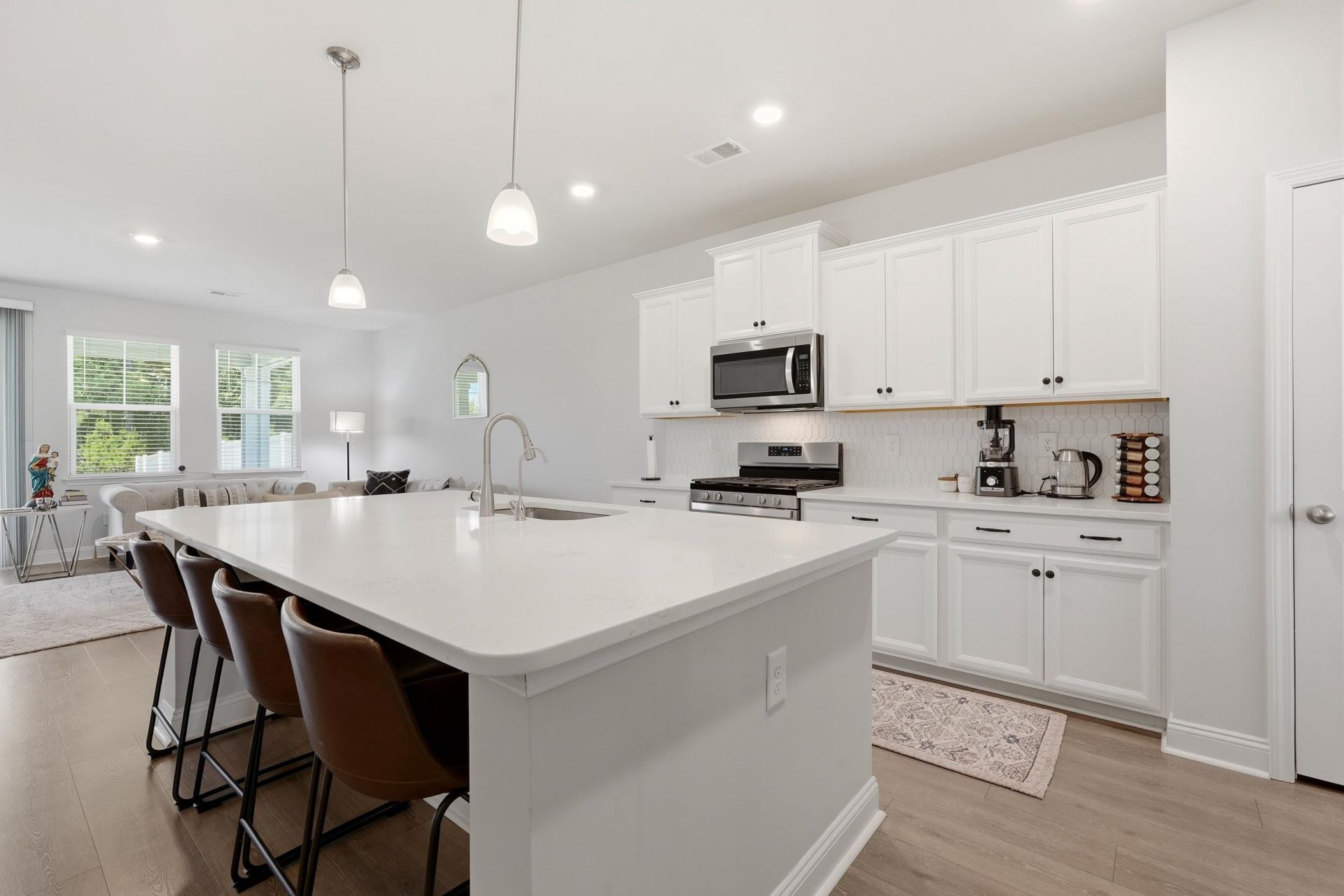 438 Calhoun Falls Dr. Photo 10
