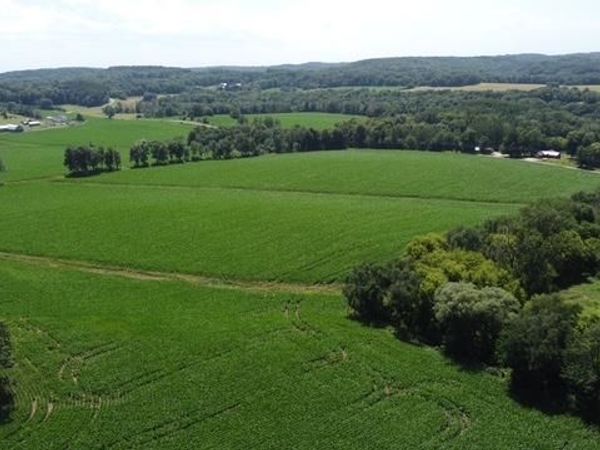 135.45 acres Costigan Road, Lyndon Station, WI 53944