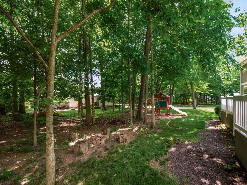 499 Delaneys Circle, Powell, OH 43065 Photo 54
