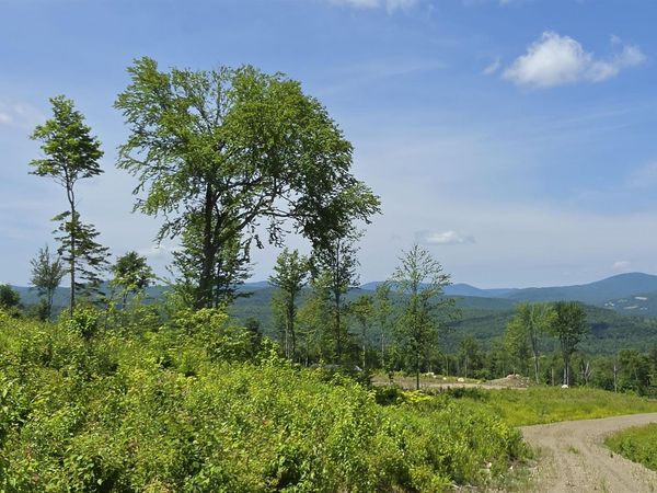 Map R6 Lot 1C Deer Crossing Way, Errol, NH 03579