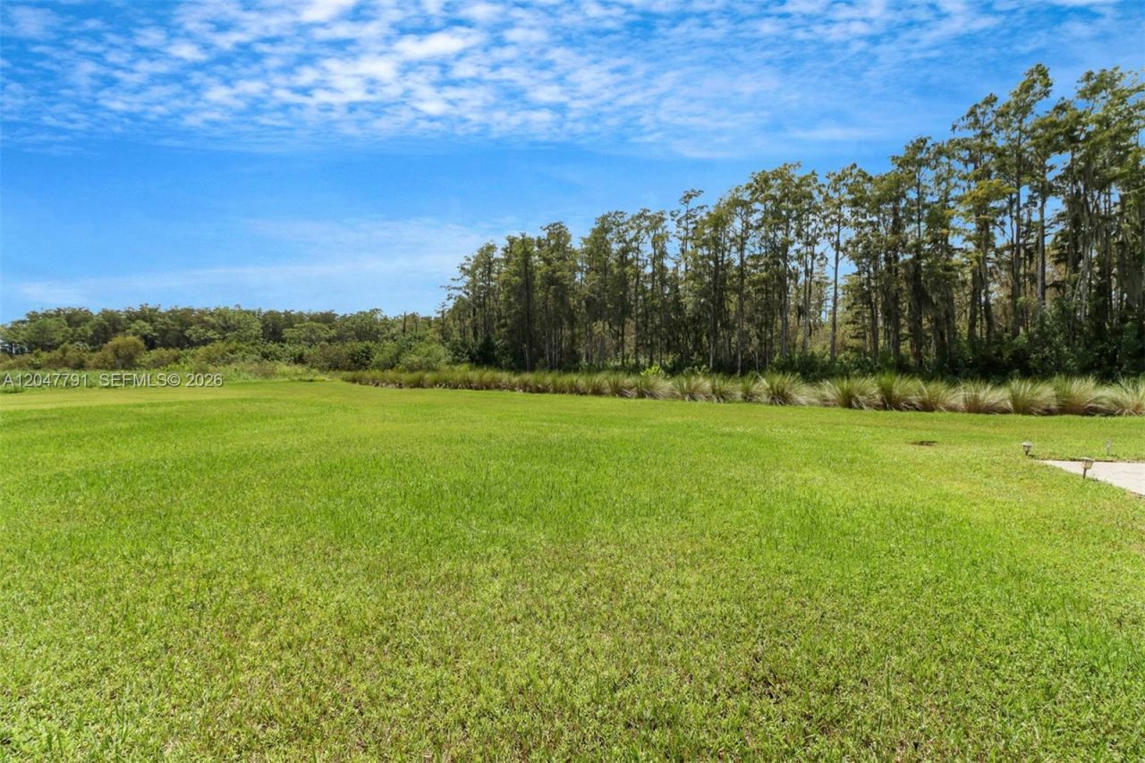 5504 Agostino Way , Ave Maria, FL 34142 Photo