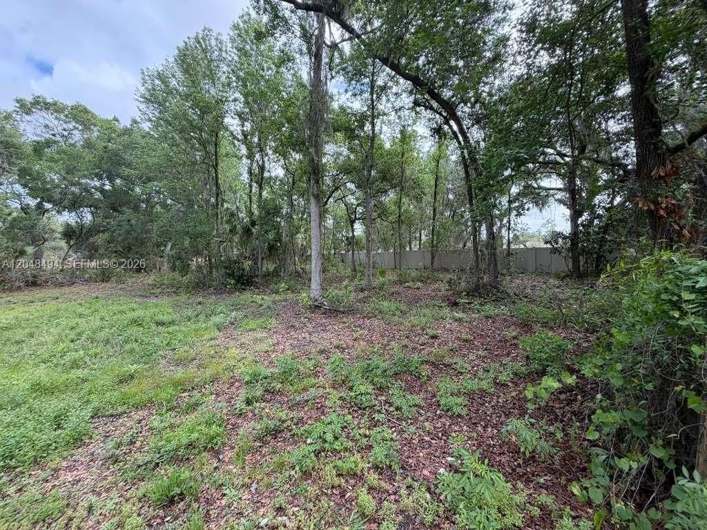 0 Bailey Rd , Mulberry, FL 33860 Photo