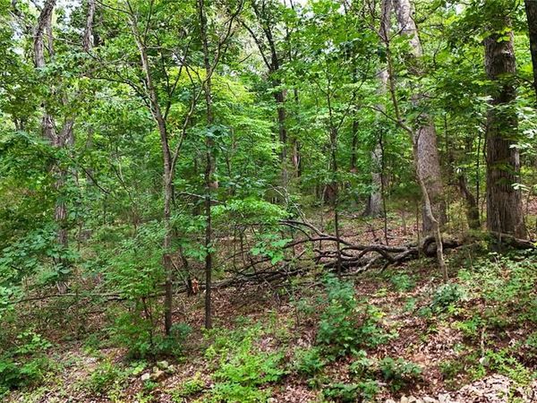 9576 Bent Tree Drive, Hillsboro, MO 63050