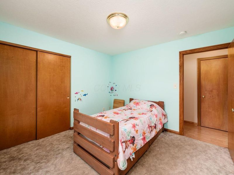 6294 Mink Street Road, Ostrander, OH 43061 Photo 25