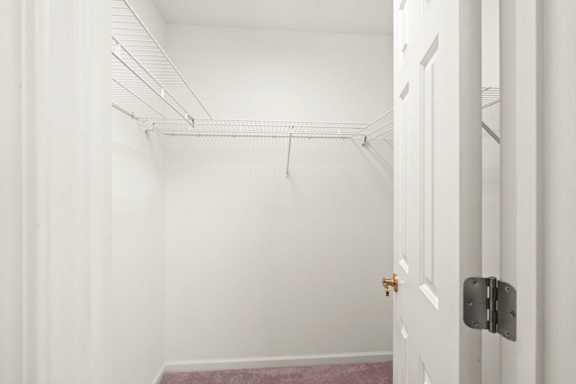 157 Mackinley Circle Photo 35