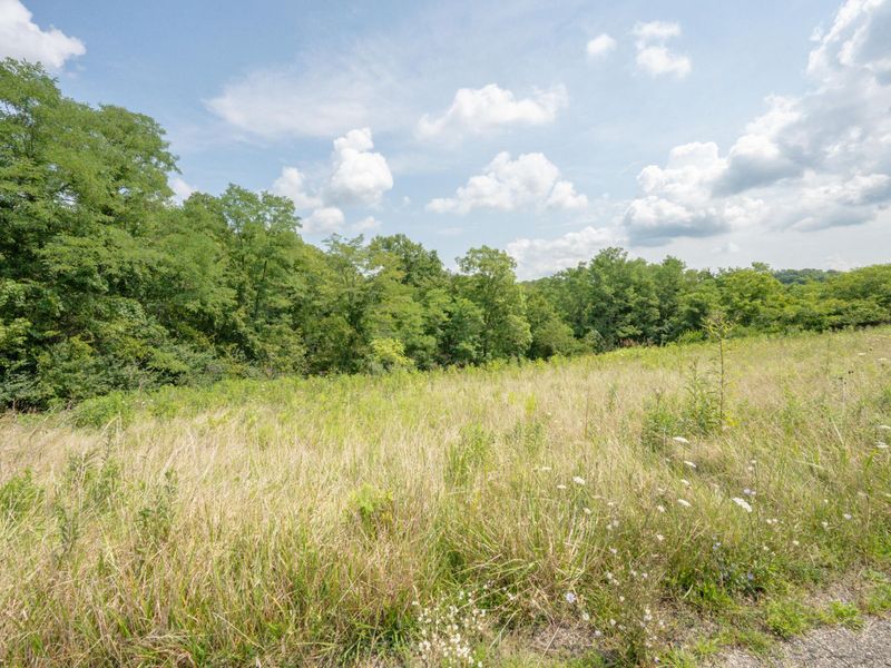 16059 Pfanstiel Road, Demossville, KY 41033 Photo 20