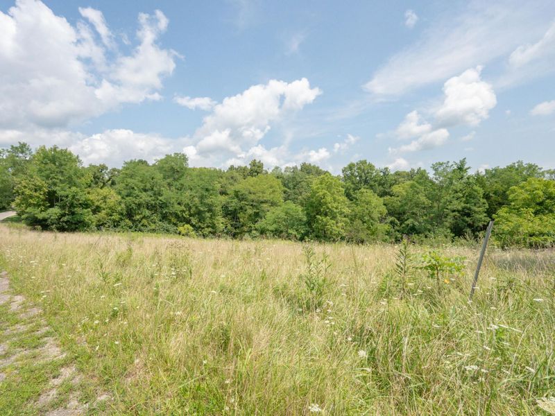 16059 Pfanstiel Road, Demossville, KY 41033 Photo 27