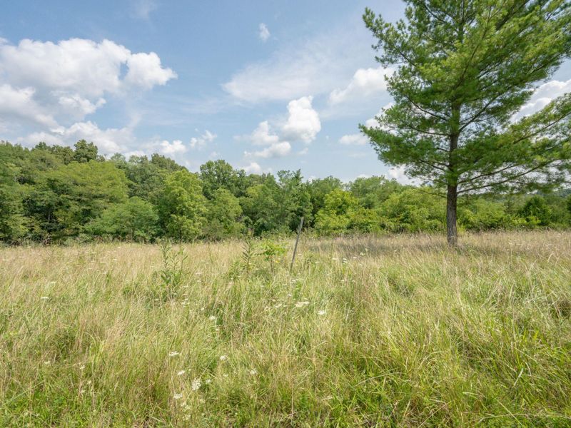 16059 Pfanstiel Road, Demossville, KY 41033 Photo 4