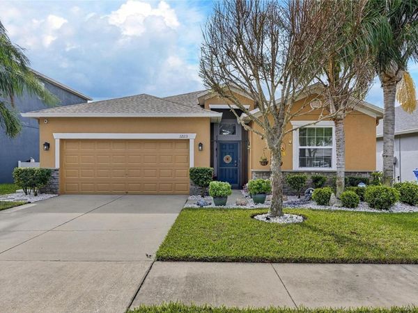 12113 ECHO BASIN COVE , RIVERVIEW, FL 33579