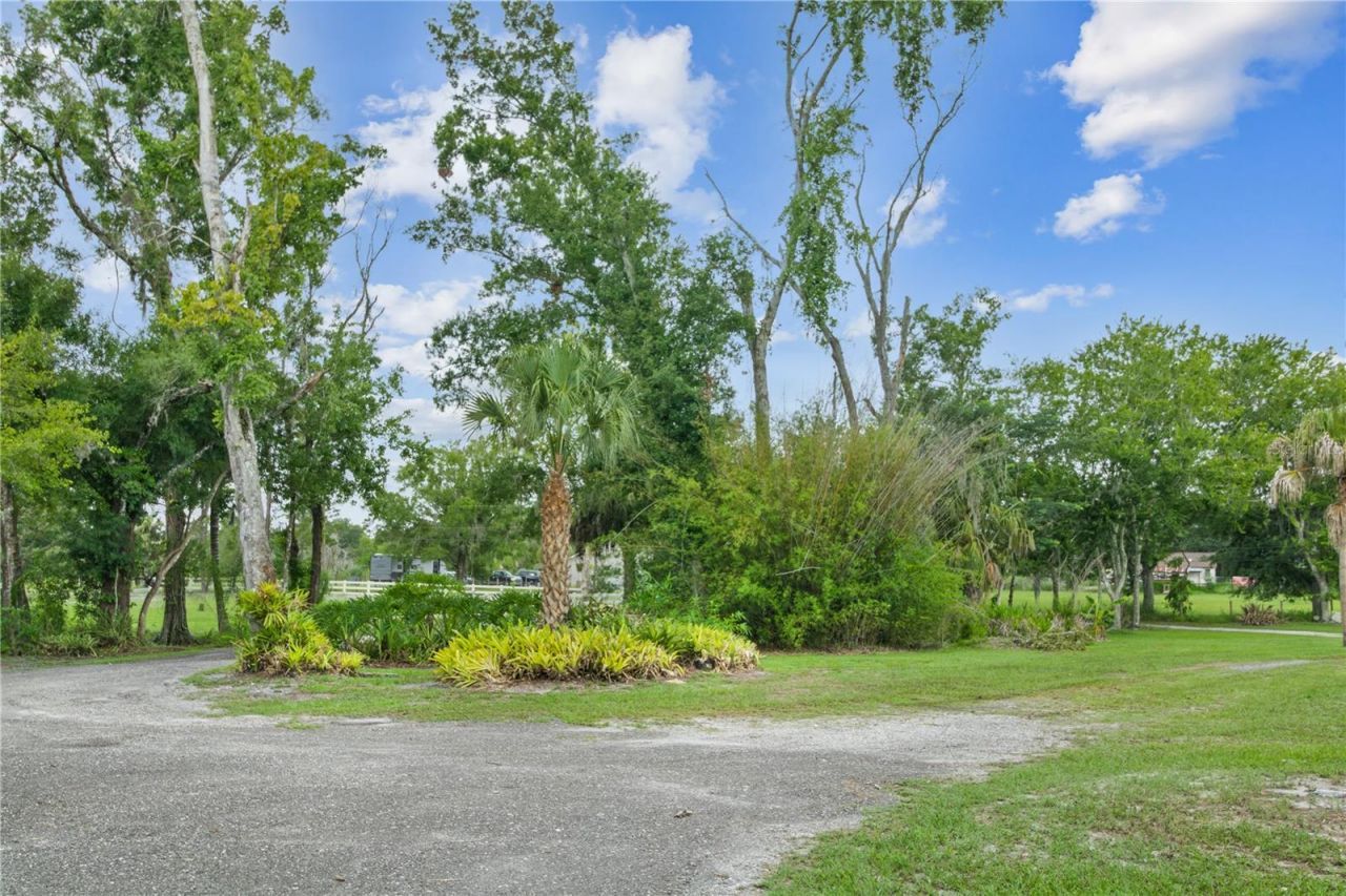2650 20 Mile Level Road , Land O Lakes, FL 34639 Photo