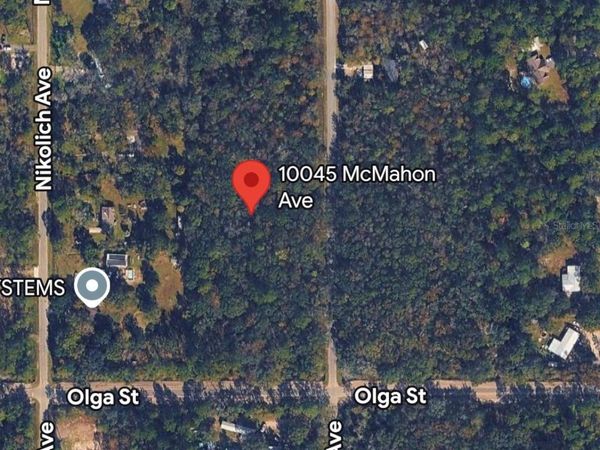 10045 MCMAHON AVENUE , HASTINGS, FL 32145
