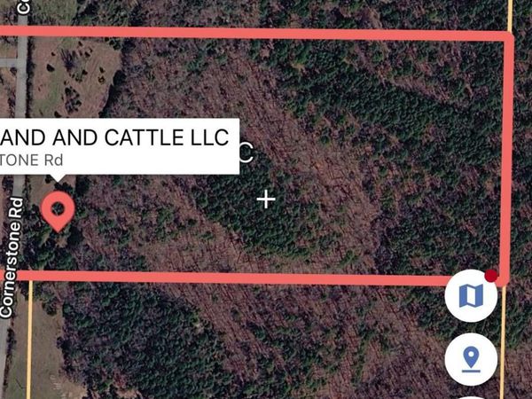 445 cornerstone Road , Pleasant Plains, AR 72568