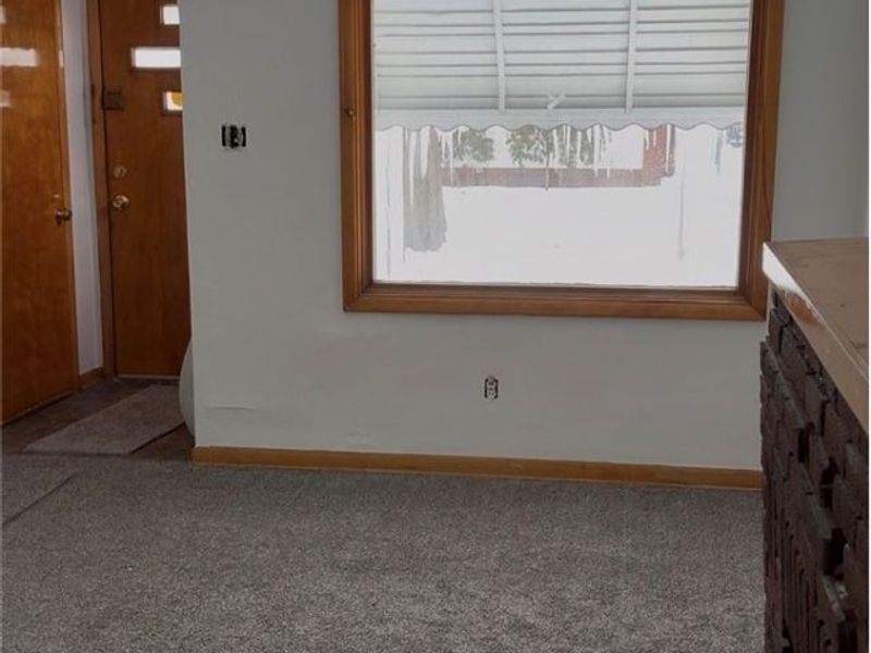 1101 Dietz Avenue, Akron, OH 44301 Photo 4