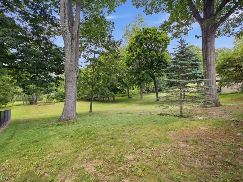 236 Manor Drive, Columbiana, OH 44408 Photo 29