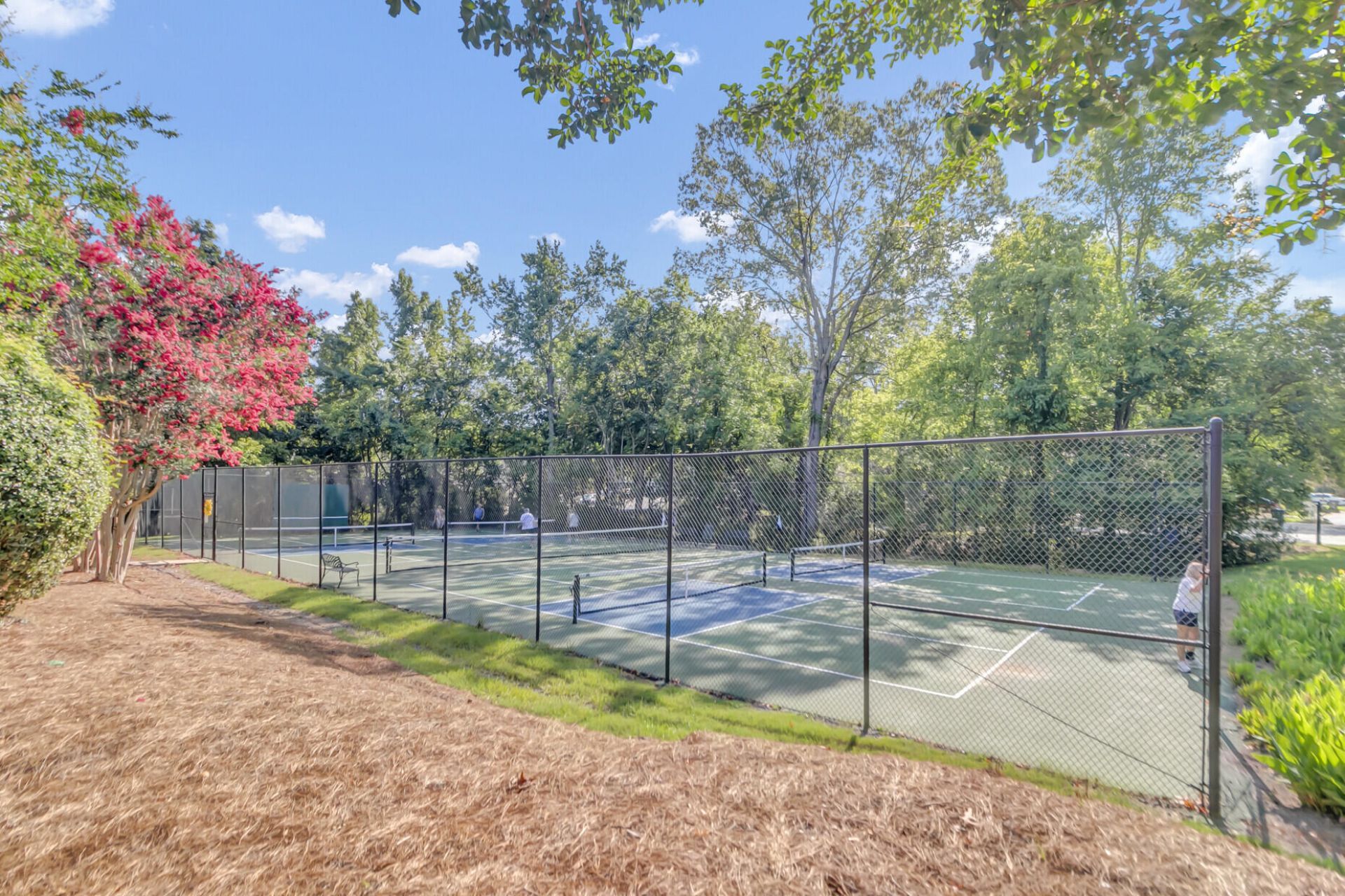 2455 Deer Ridge Lane Photo 17