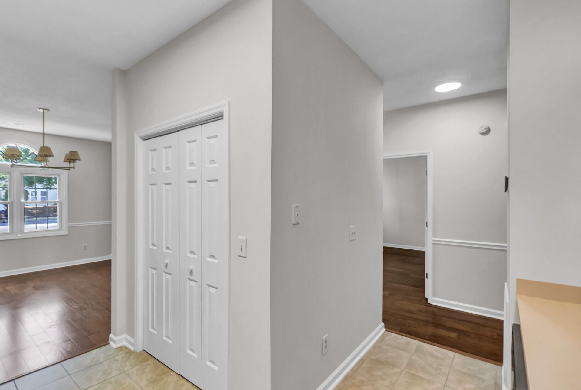 2455 Deer Ridge Lane Photo 8