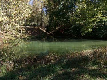 Lot 1 Tulip Lane, Fairmont, WV 26554