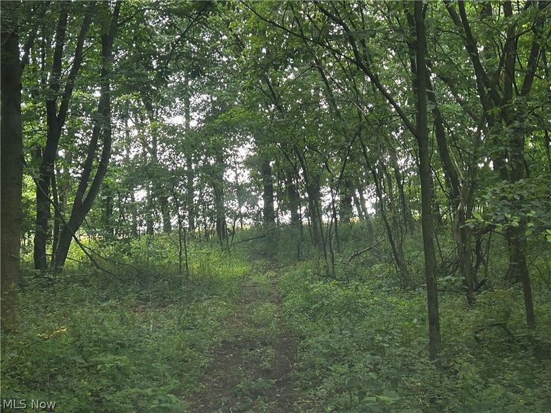 5742 Grove Road, Clinton, OH 44216 Photo 24