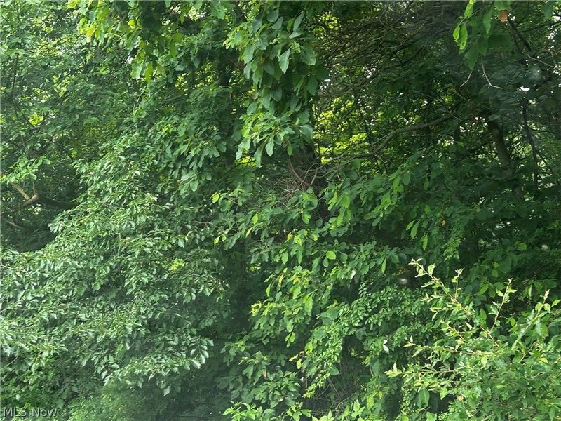5742 Grove Road, Clinton, OH 44216 Photo 27
