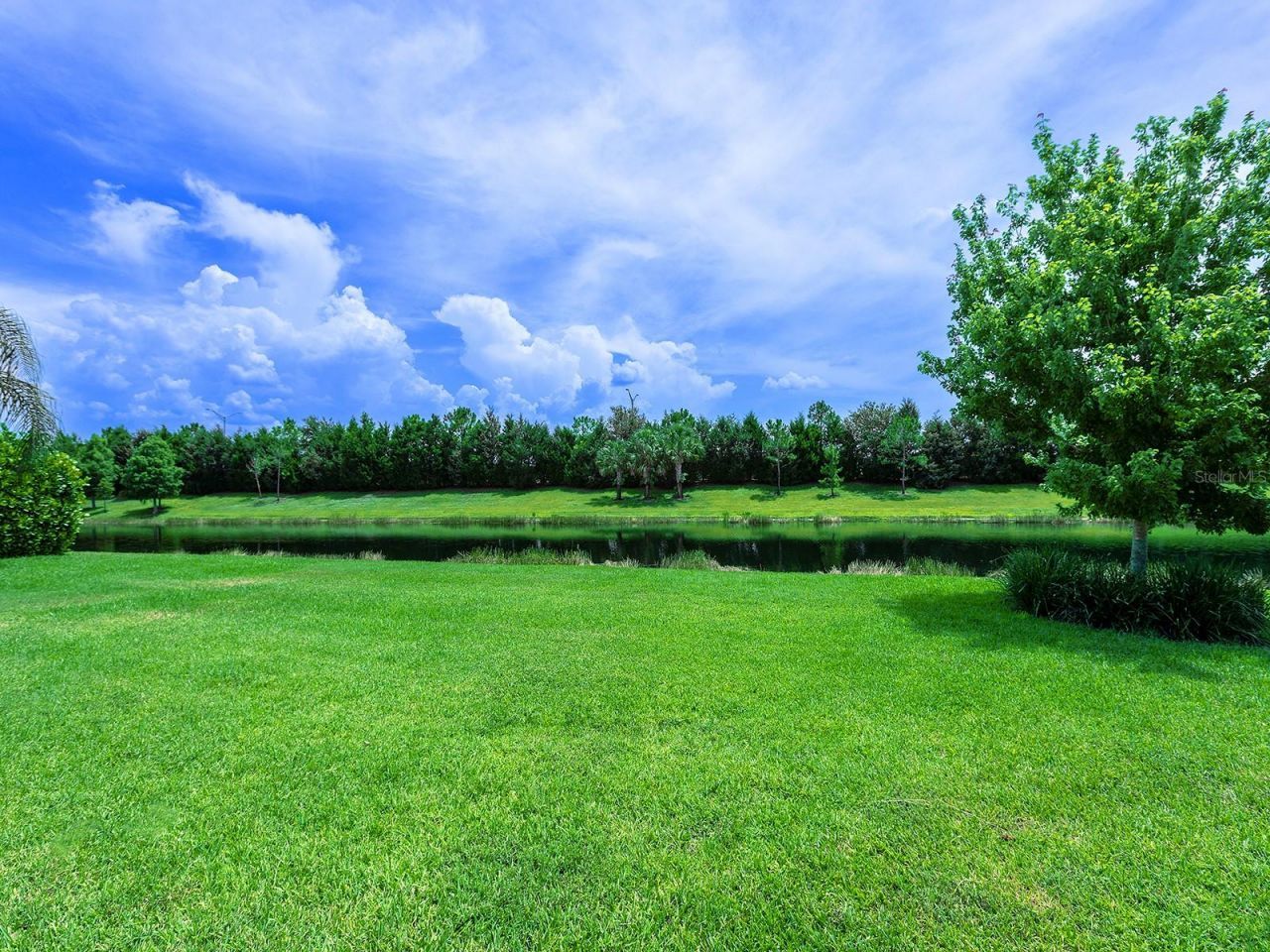 8282 Grande Shores Drive, Sarasota, FL 34240 Photo