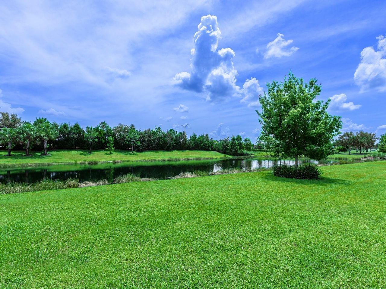 8282 Grande Shores Drive, Sarasota, FL 34240 Photo