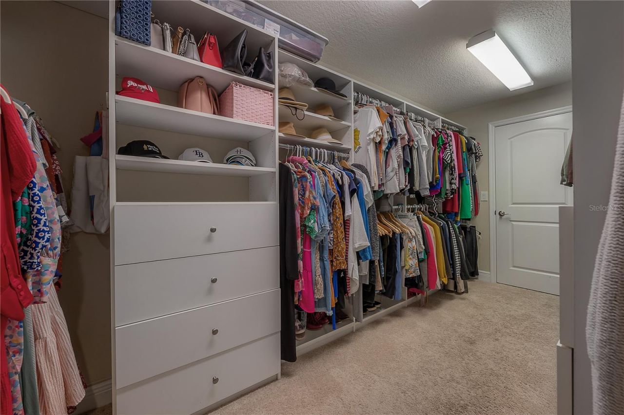 3108 W Villa Rosa Street, Tampa, FL 33611 Photo