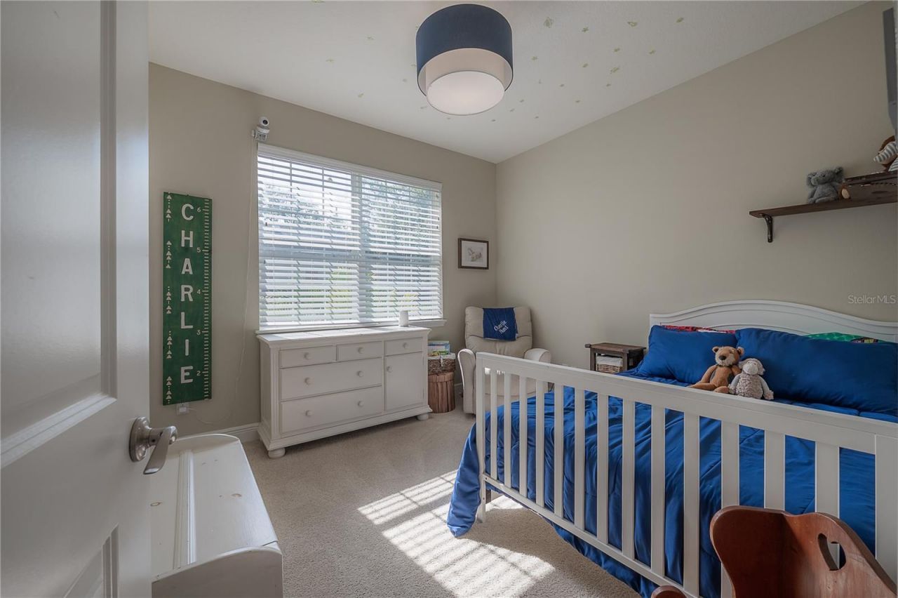 3108 W Villa Rosa Street, Tampa, FL 33611 Photo