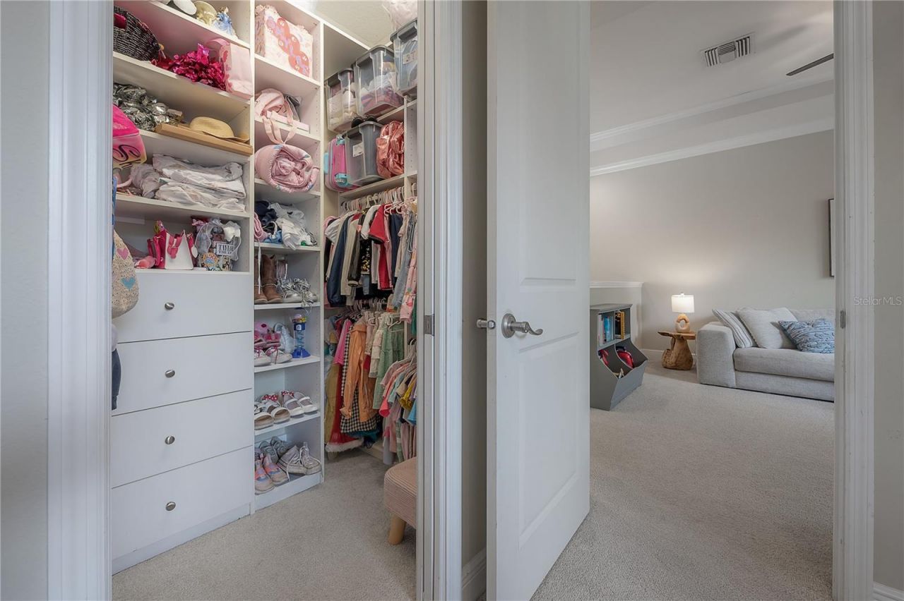 3108 W Villa Rosa Street, Tampa, FL 33611 Photo