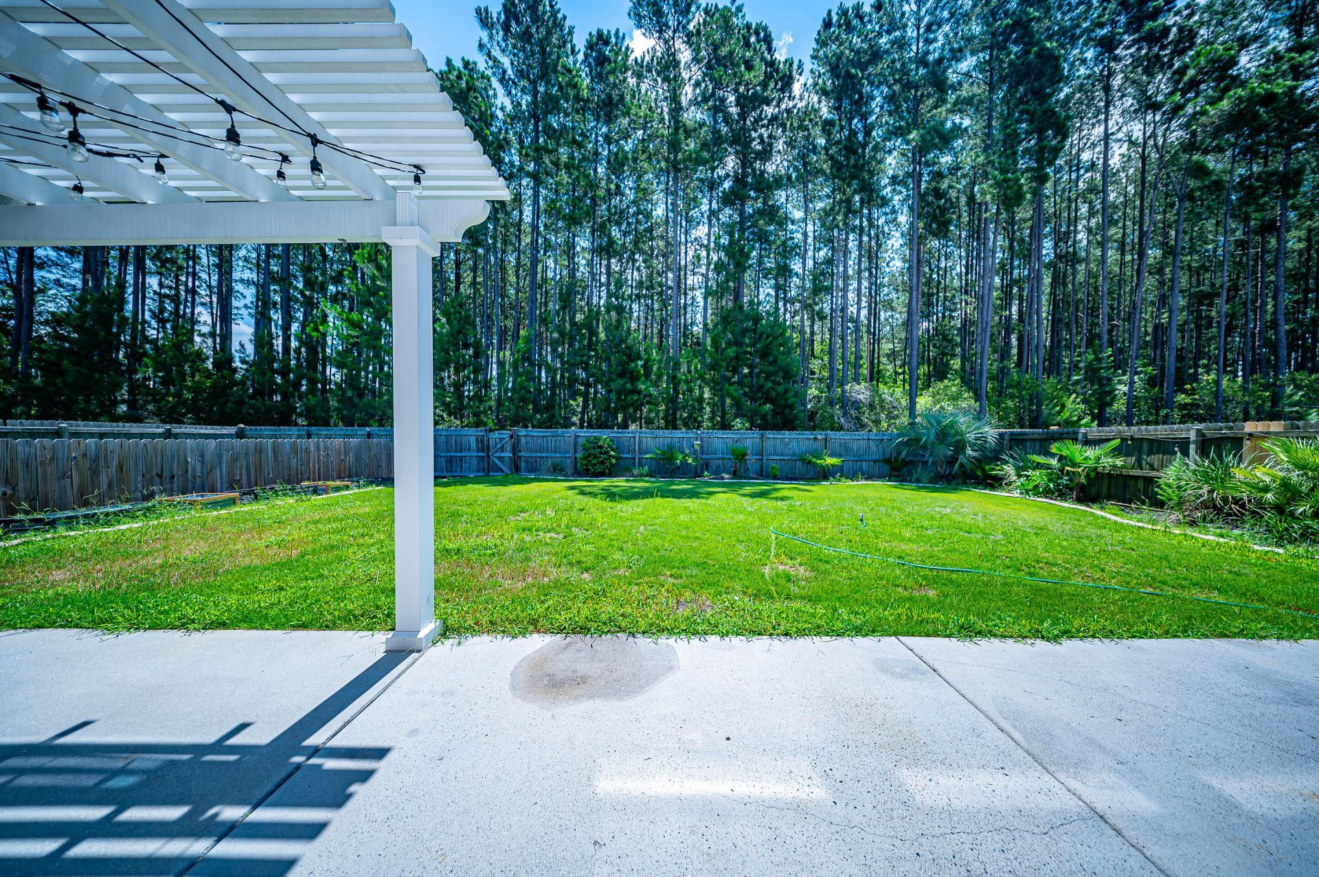 204 Buttercup Lane Photo 77