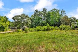 3 Acres Luck Ave.  photo 4