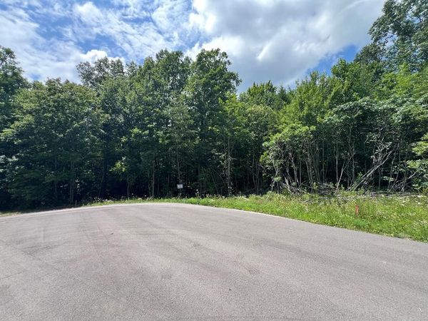 Lot 200 Elzies Way, Grimsley, TN 38565