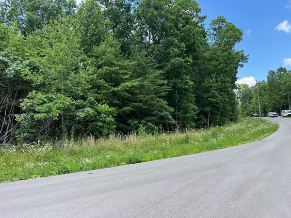 Lot 201 Elzies Way, Grimsley, TN 38565