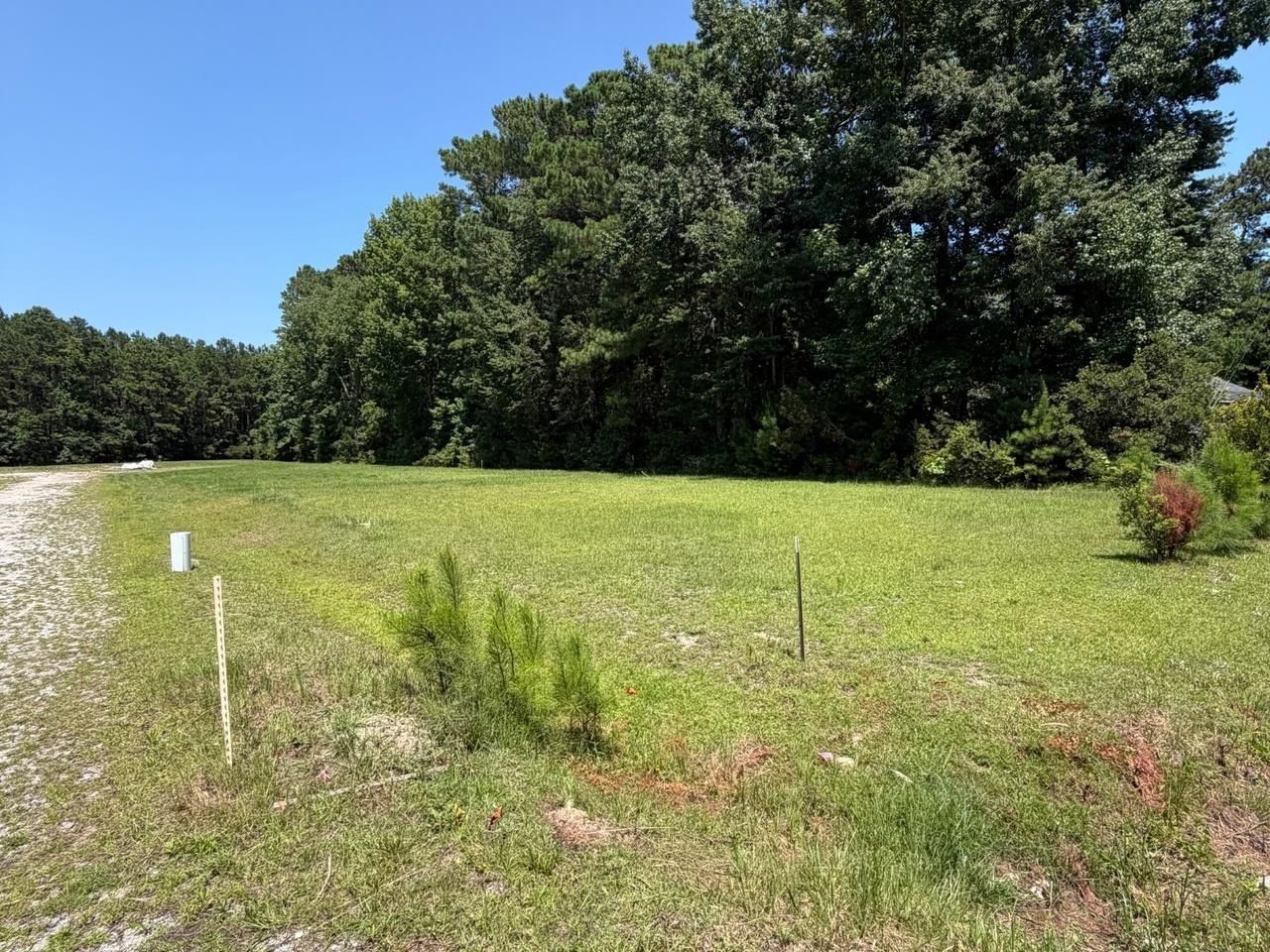 Tbd Salem Rd.  Photo 6