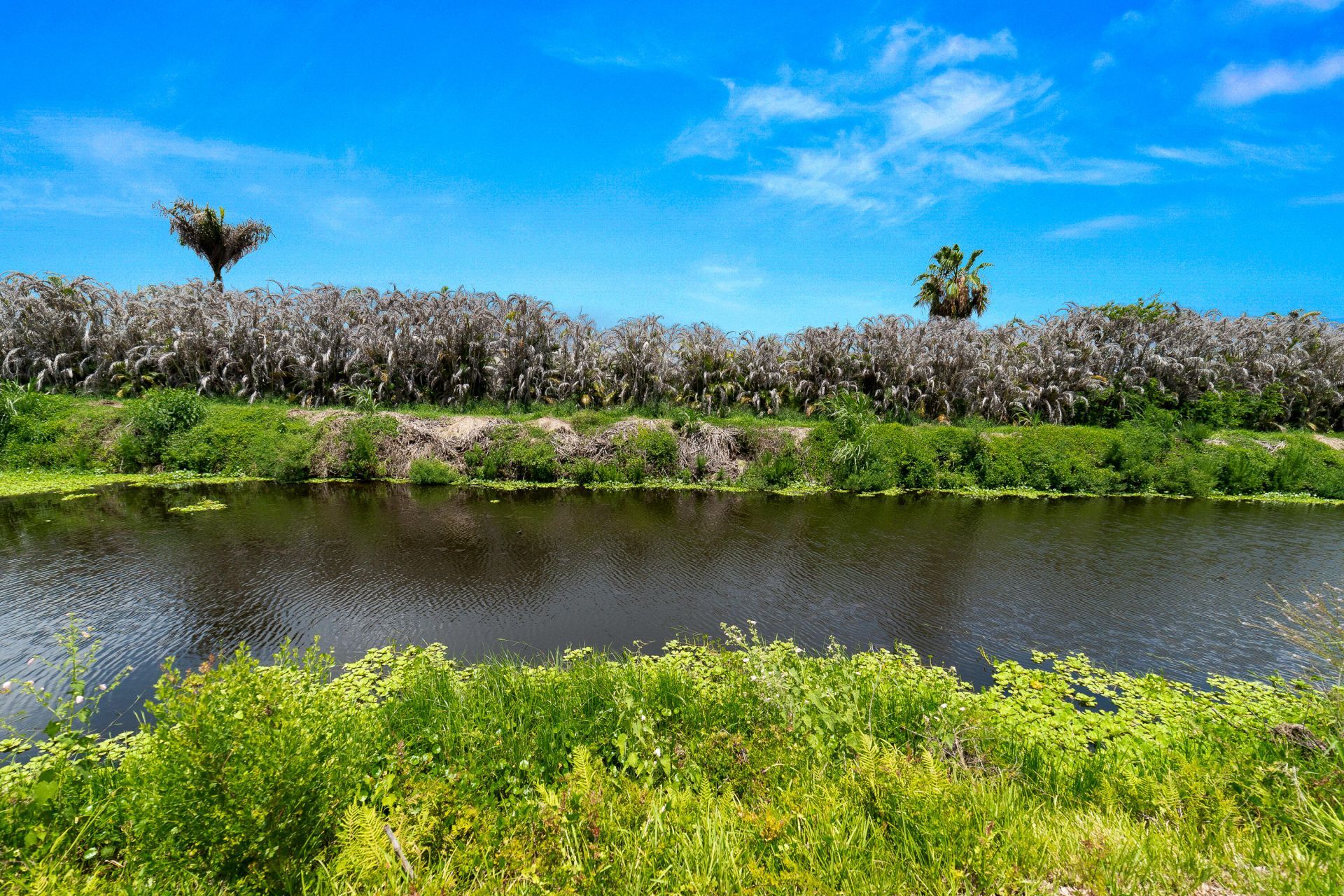1637 SW 35th Circle, Okeechobee, FL 34974 Photo