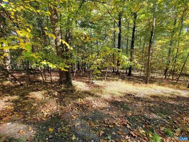 41 HICKORY SPRING RD, WINTERGREEN RESORT, VA 22967
