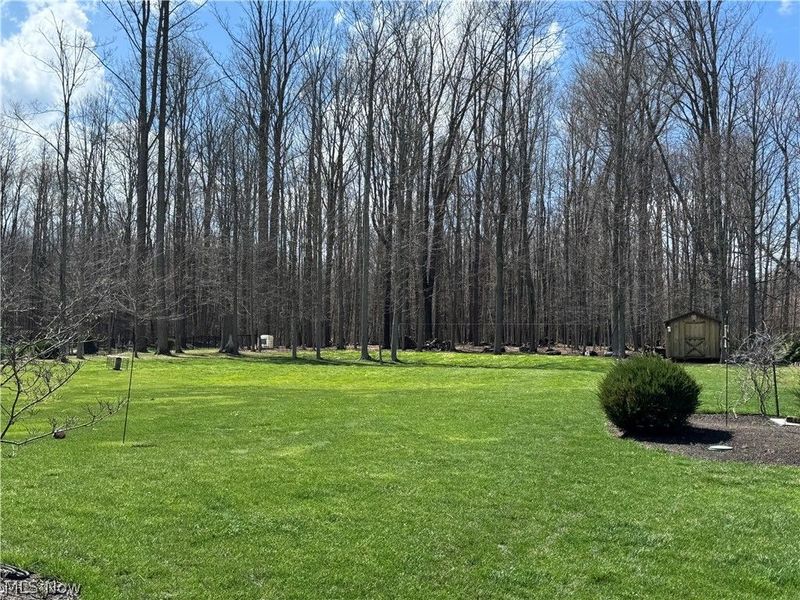 12450 Concord Hambden Road, Concord Township, OH 44077 Photo 2