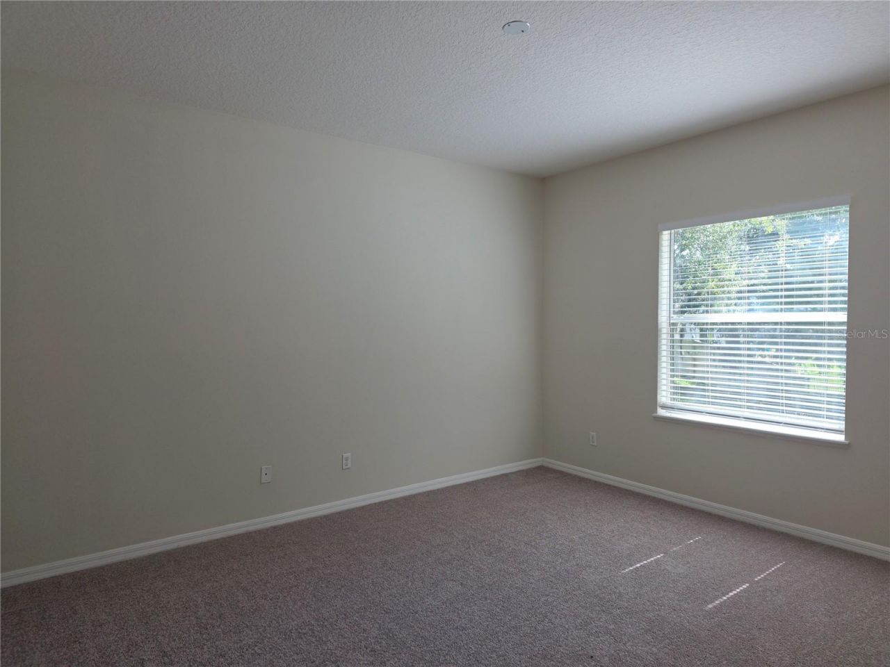 311 Rambling Circle , Apopka, FL 32712 Photo