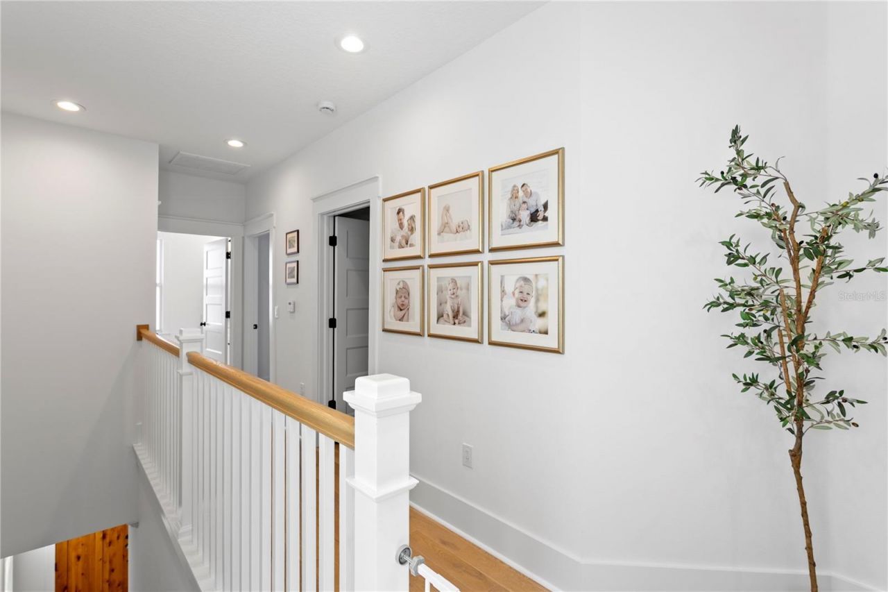 213 W Elm Street, Tampa, FL 33604 Photo
