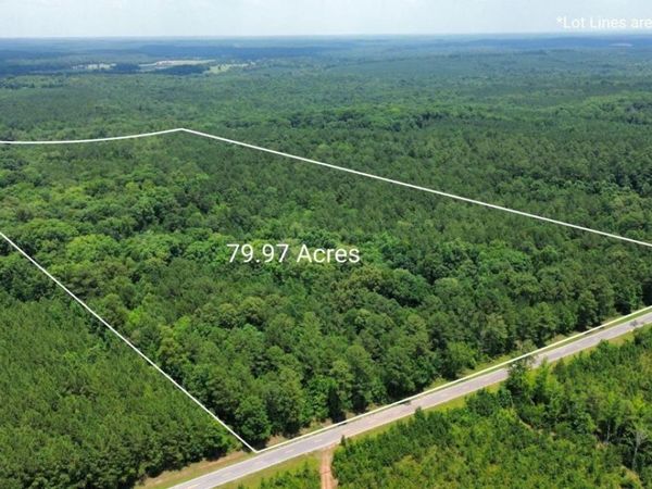 000 Springfield / Turner Road, Union Point, GA 30669