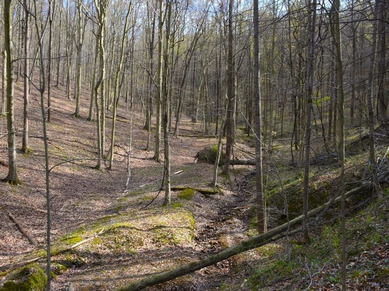 19479 Bogg Road, Laurelville, OH 43135 Photo 10