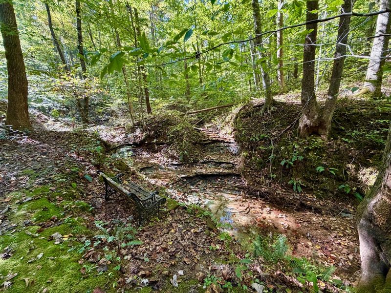 19479 Bogg Road, Laurelville, OH 43135 Photo 18
