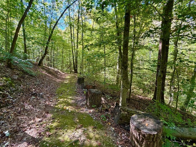 19479 Bogg Road, Laurelville, OH 43135 Photo 63