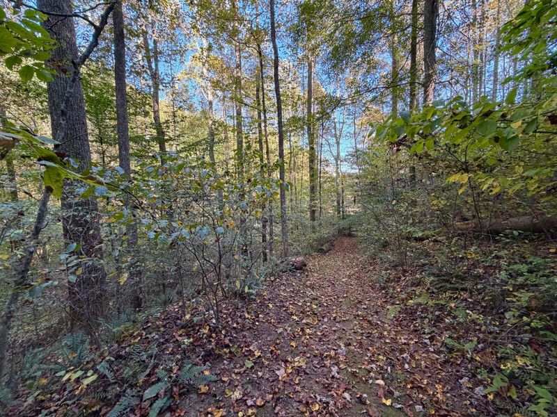 19479 Bogg Road, Laurelville, OH 43135 Photo 64